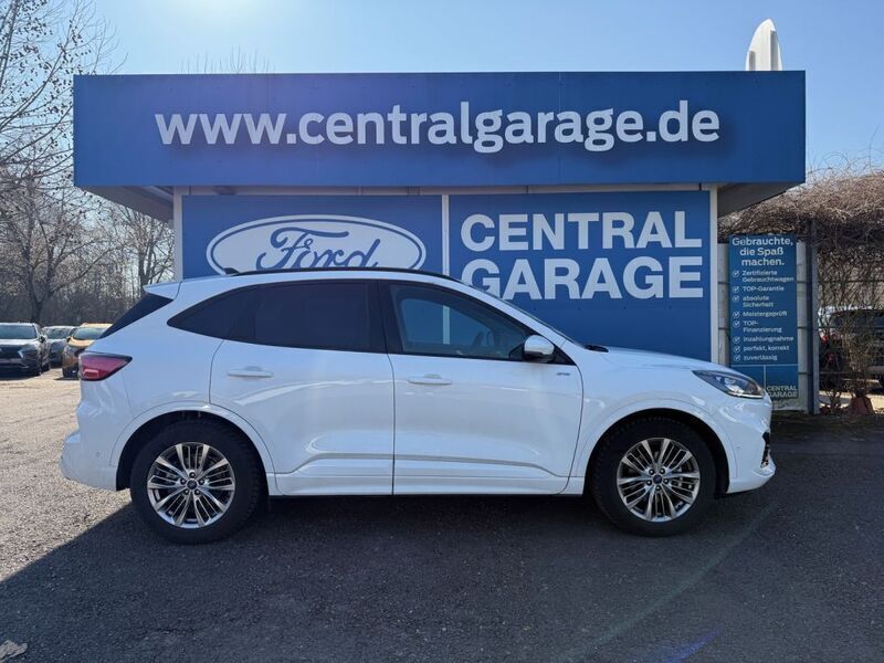 Gebraucht Ford Kuga ST-Line X 150 PS (110 kW) 2024 Weiß SUV