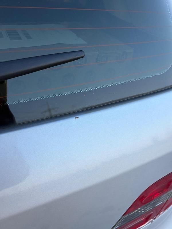 Second-hand Mercedes B160 95 CP (69 kW) 2010 Argintiu Monovolum