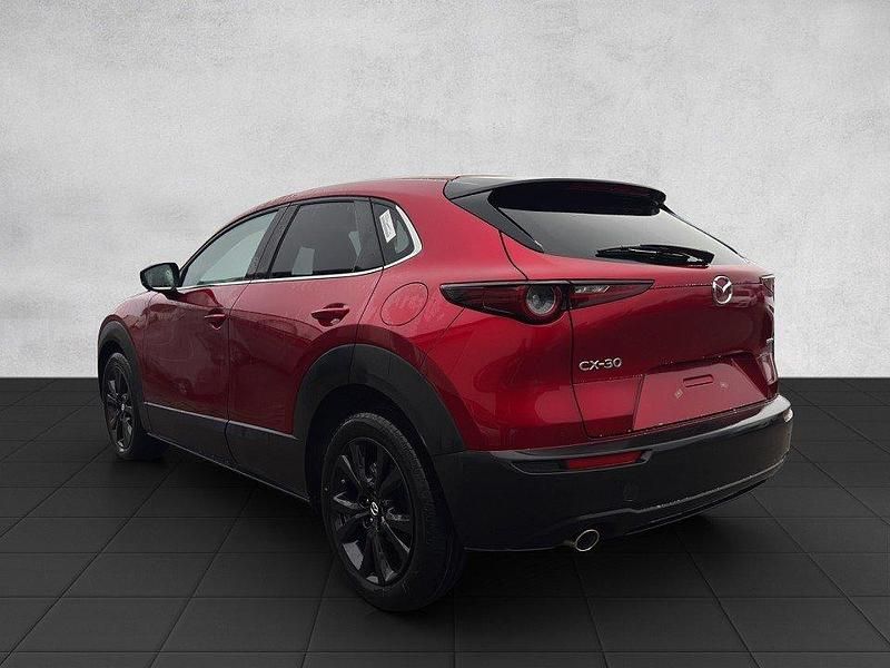 Gebraucht Mazda CX-30 Nagisa 140 PS (102 kW) 2025 SUV