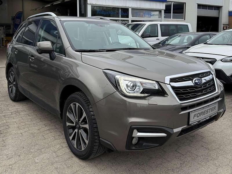 Occasion Subaru Forester Platinum 150 ch (110 kW) 2019 Marron SUV