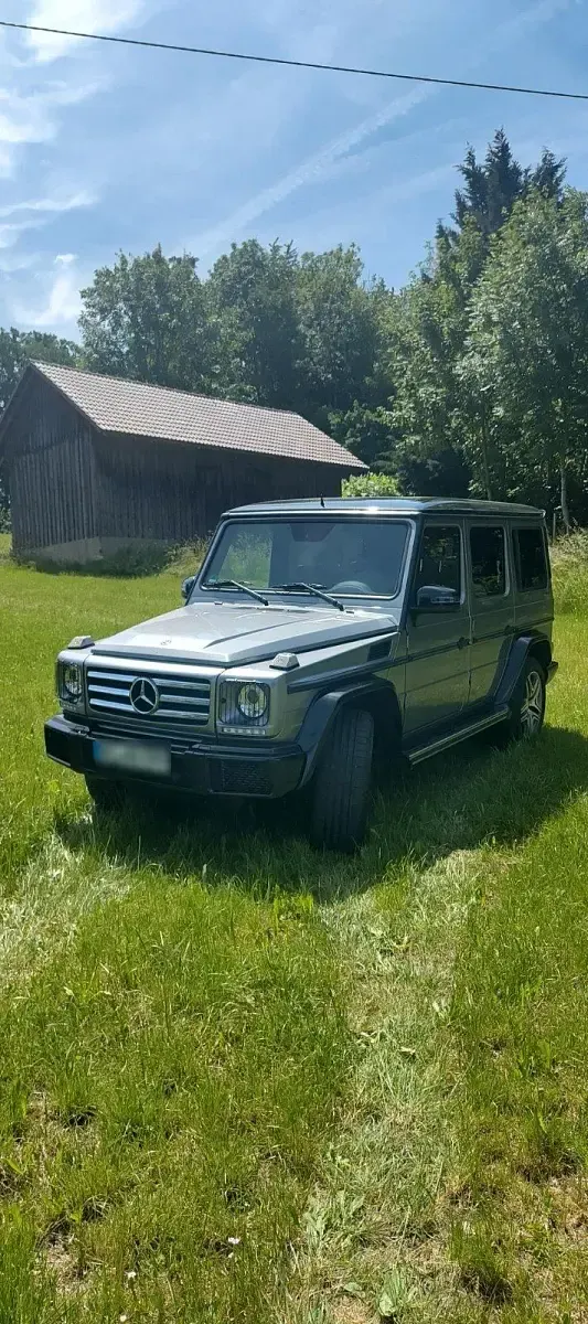 Gebraucht Mercedes G350 245 PS (180 kW) 2017 Grau SUV