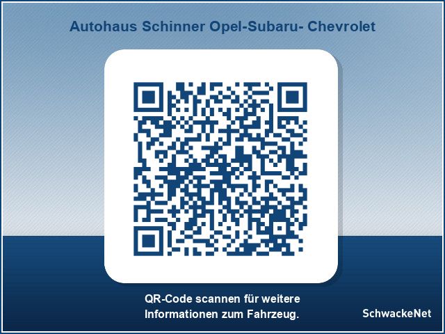 Andere farbe Gebraucht 2021 Opel Zafira Life Edition Van | 35.290 € (Etwas zu teuer) - Bild 1/1