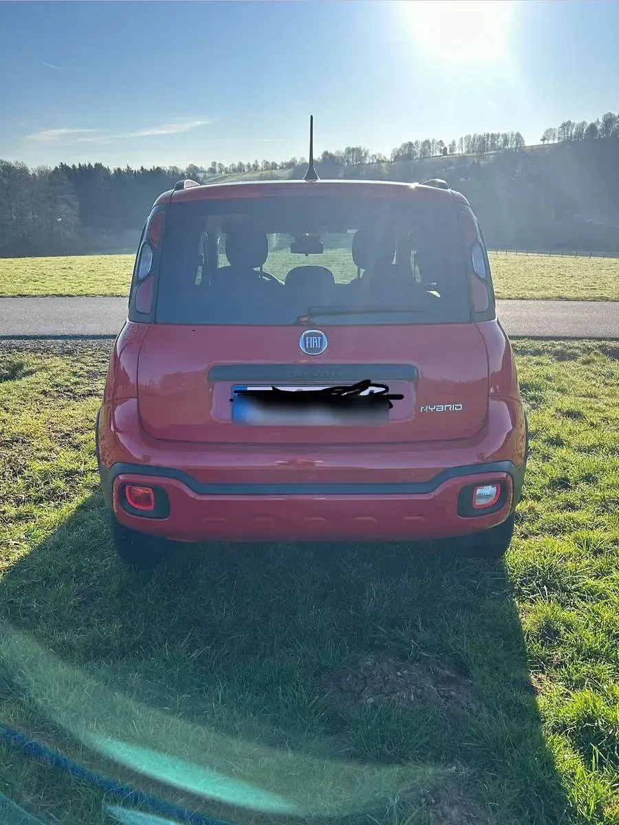 Gebraucht Fiat Panda Red 69 PS (50 kW) 2022 Rot Kleinwagen