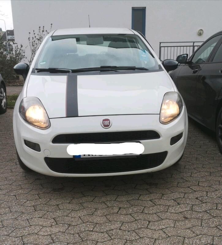 Weiß Gebraucht 2012 Fiat Punto Kleinwagen | 3.200 € (Guter Preis) - Bild 1/4