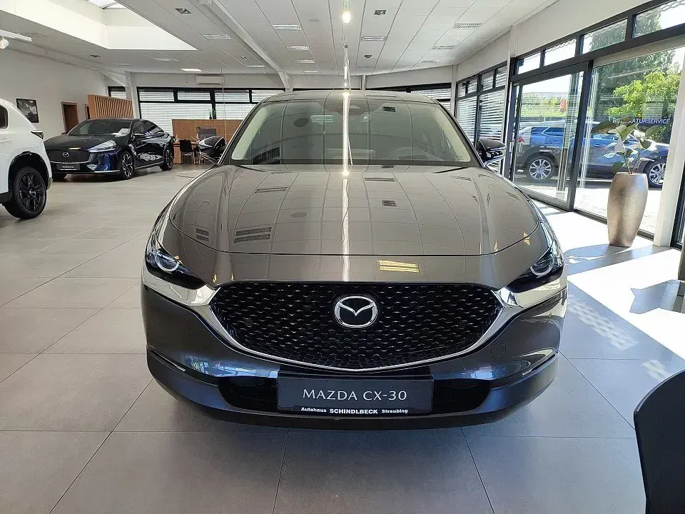 Neu Mazda CX-30 Homura-Line 140 PS (102 kW) 2026 SUV