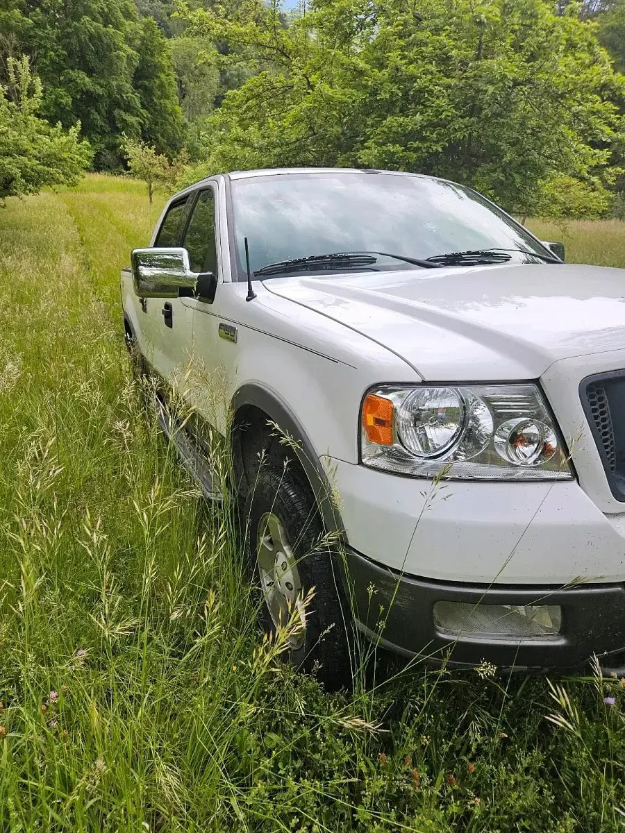 Gebraucht Ford F-150 305 PS (224 kW) 2004 Weiß Pickup