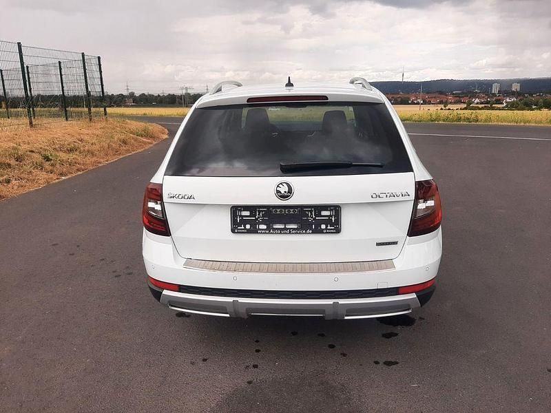 Gebraucht Skoda Octavia Scout 184 PS (135 kW) 2019 Weiß Kombi