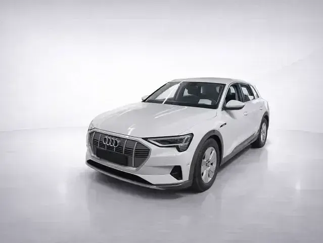 Second-hand Audi e-tron Advanced Plus 230 kW (313 CP) 2022 Alb SUV