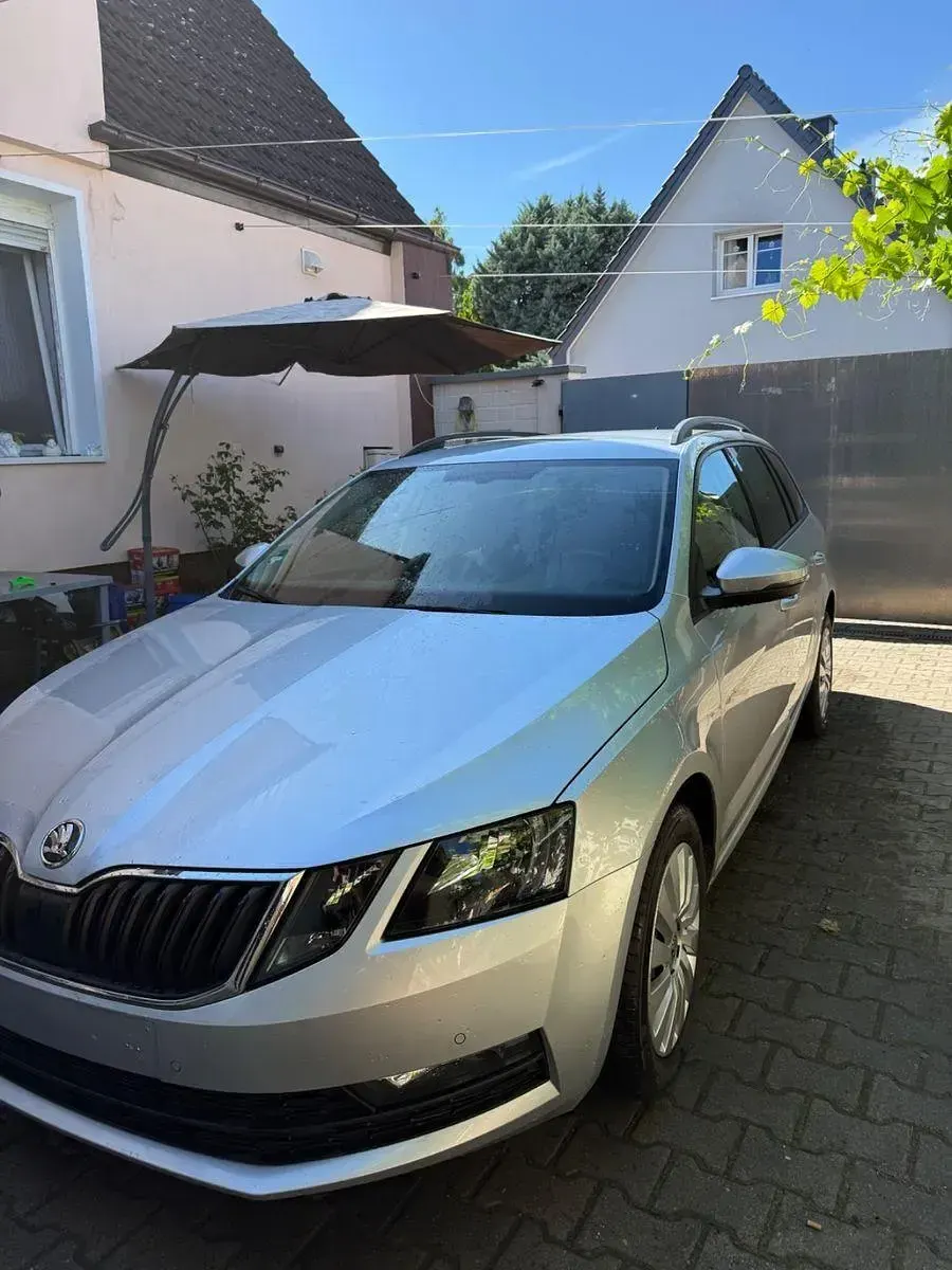 Gebraucht Skoda Octavia Active 116 PS (85 kW) 2018 Silber Kombi