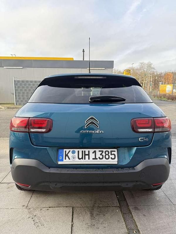 Gebraucht Citroën C4 Cactus Shine 120 PS (88 kW) 2019 Kleinwagen