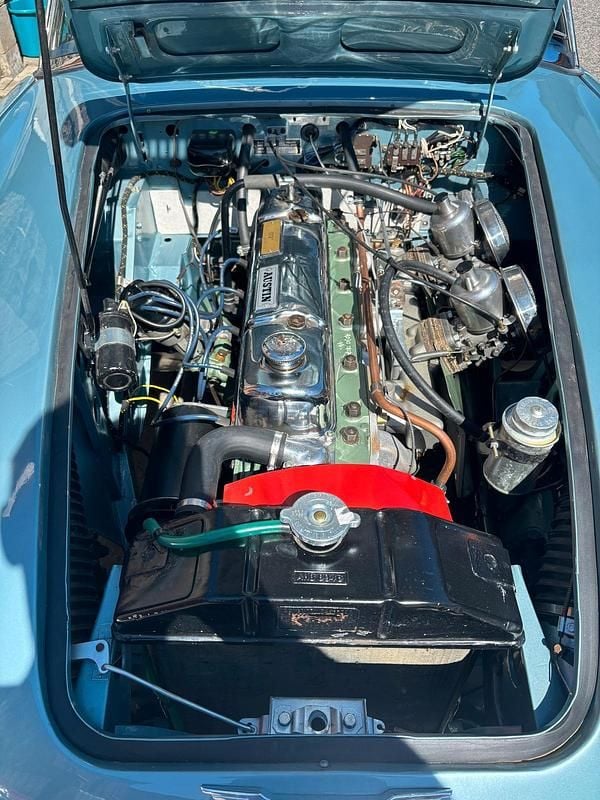 Gebraucht Austin Healey 3000 MK II 130 PS (95 kW) 1961 Blau Cabrio