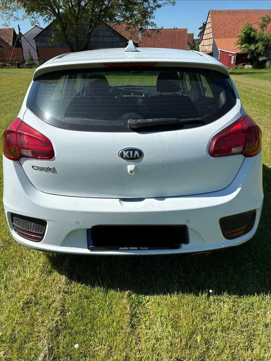 Używany Kia Ceed DREAM-TEAM Edition 101 KM (74 kW) 2016 Biały Hatchback