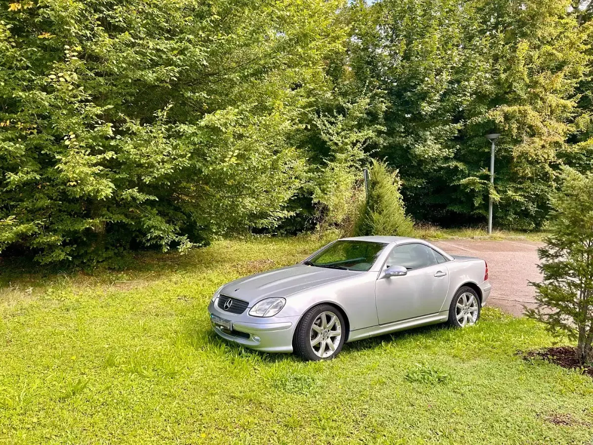 Gebraucht Mercedes SLK230 197 PS (144 kW) 2002 Silber Cabrio