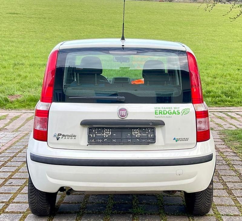 Gebraucht Fiat Panda 60 PS (44 kW) 2009 Weiß Kleinwagen
