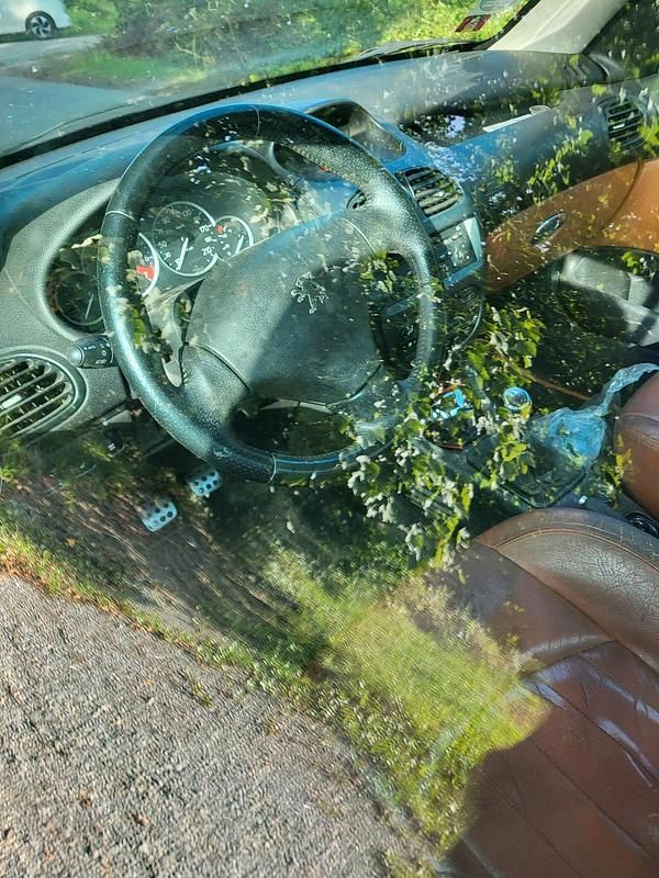 Grün Gebraucht 2004 Peugeot 206 CC Roland Garros Cabrio | 500 € (Superpreis) - Bild 1/4