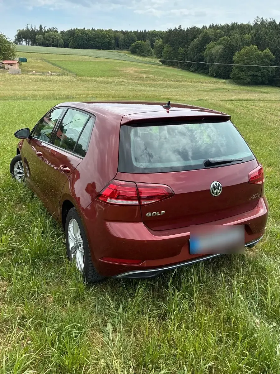 Gebraucht VW Golf VII 86 PS (63 kW) 2019 Rot Kleinwagen