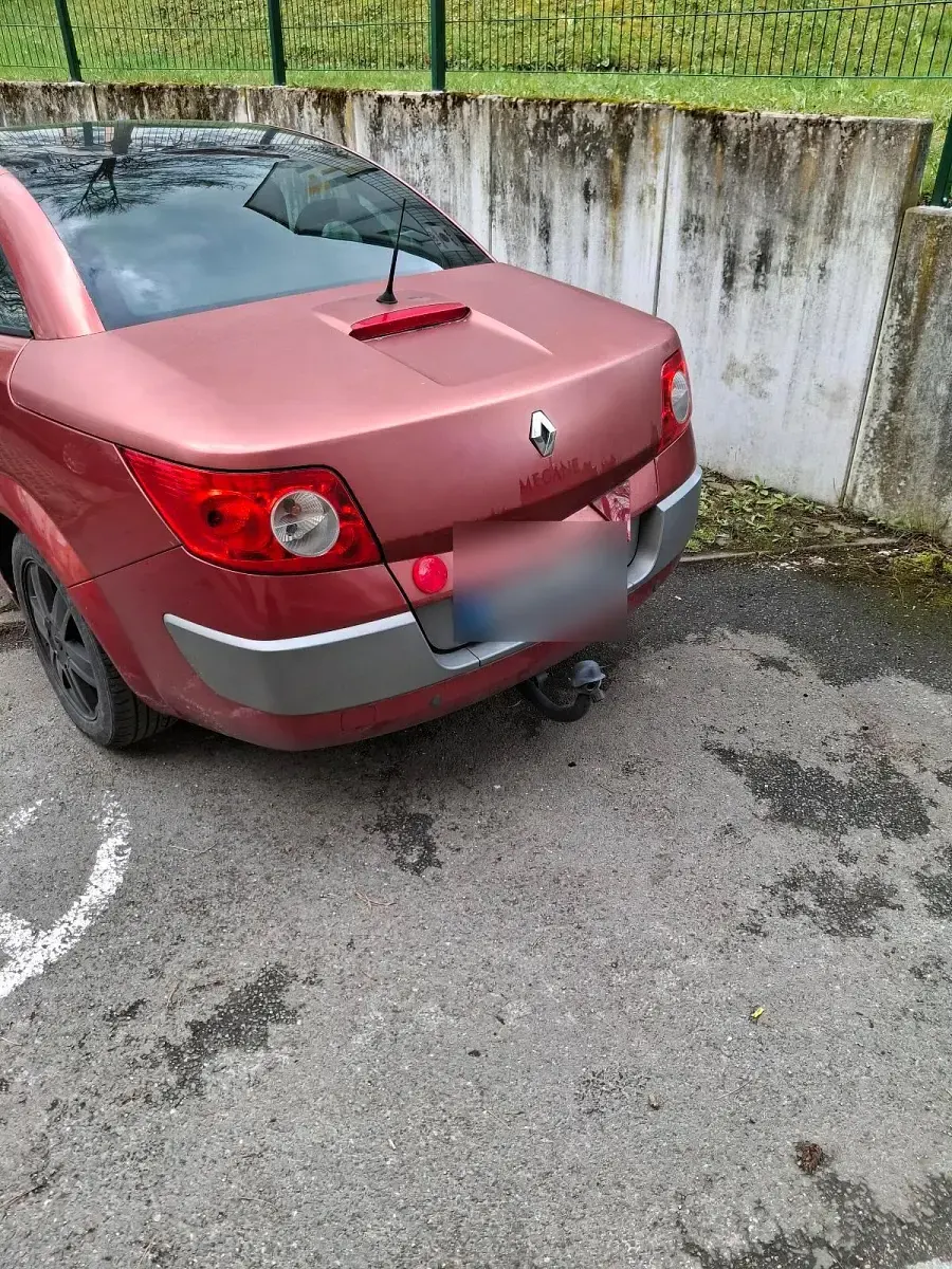Gebraucht Renault Mégane Cabriolet 135 PS (99 kW) 2004 Cabrio