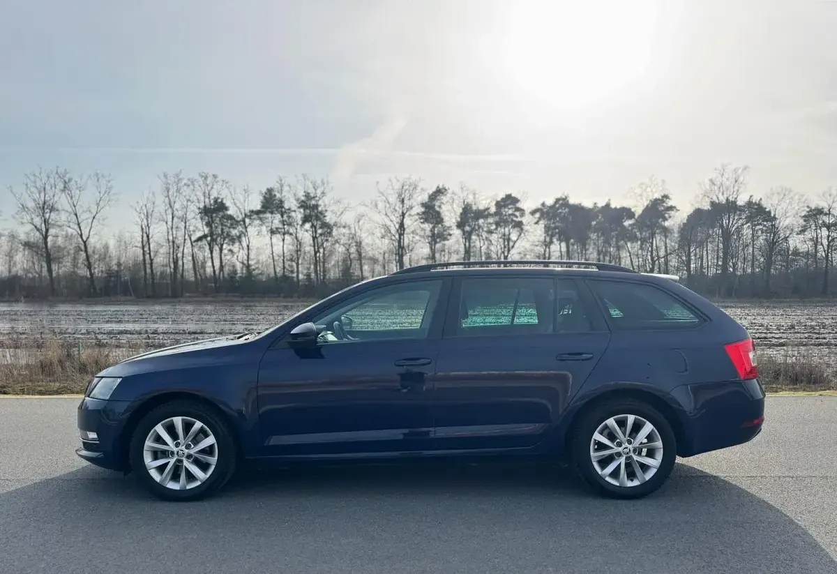 Gebraucht Skoda Octavia Active 105 PS (77 kW) 2018 Schwarz Kombi