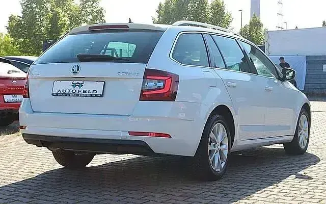 Gebraucht Skoda Octavia 150 PS (110 kW) 2019 Weiß Kombi