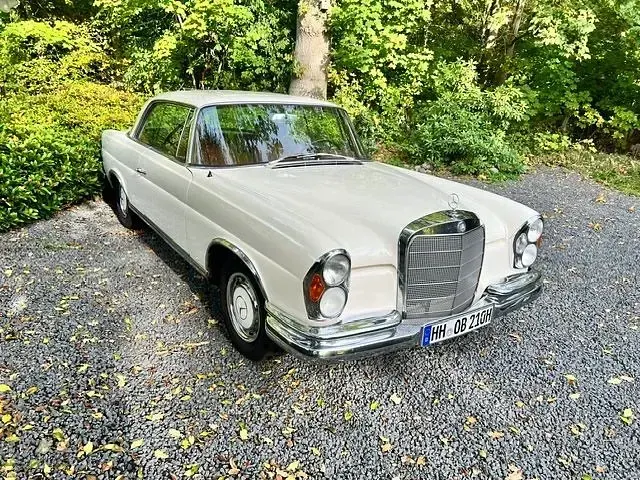Gebraucht Mercedes W111 150 PS (110 kW) 1969 Weiß