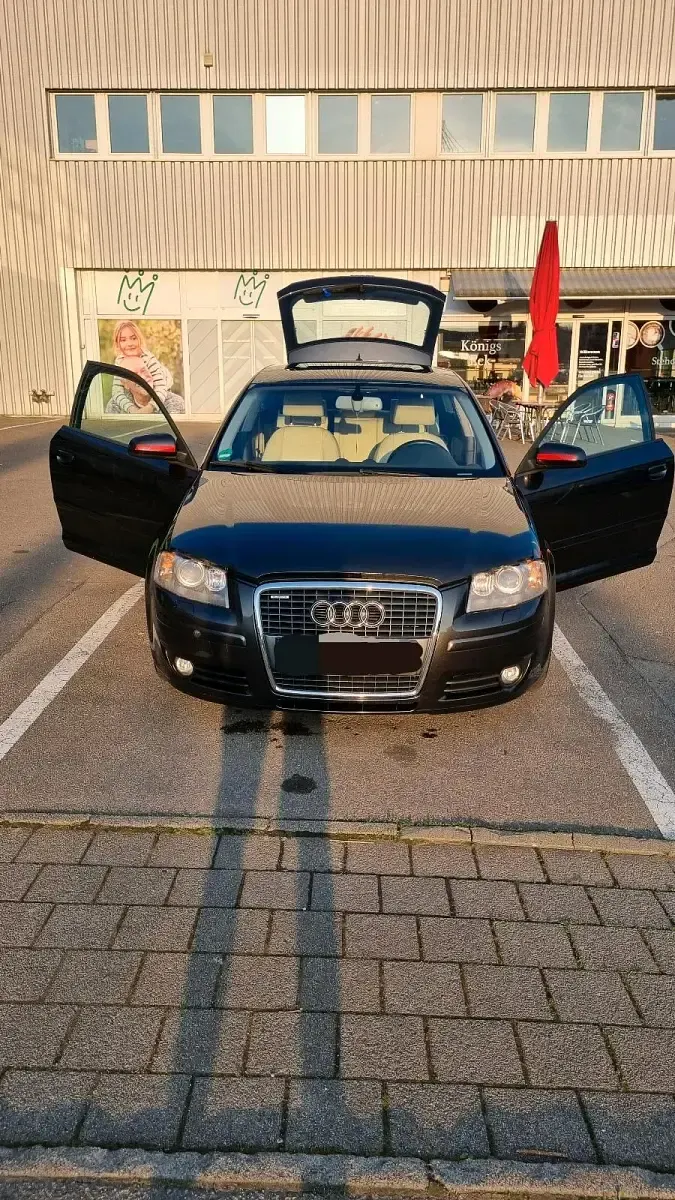 Gebraucht Audi A3 S-Line 170 PS (125 kW) 2006 Grau Kleinwagen