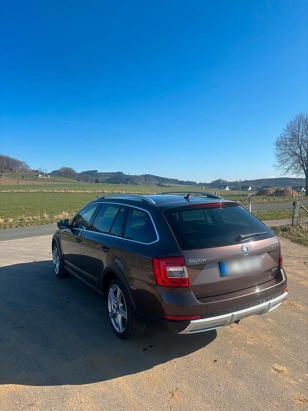 Gebraucht Skoda Octavia Scout 186 PS (136 kW) 2016 Kombi