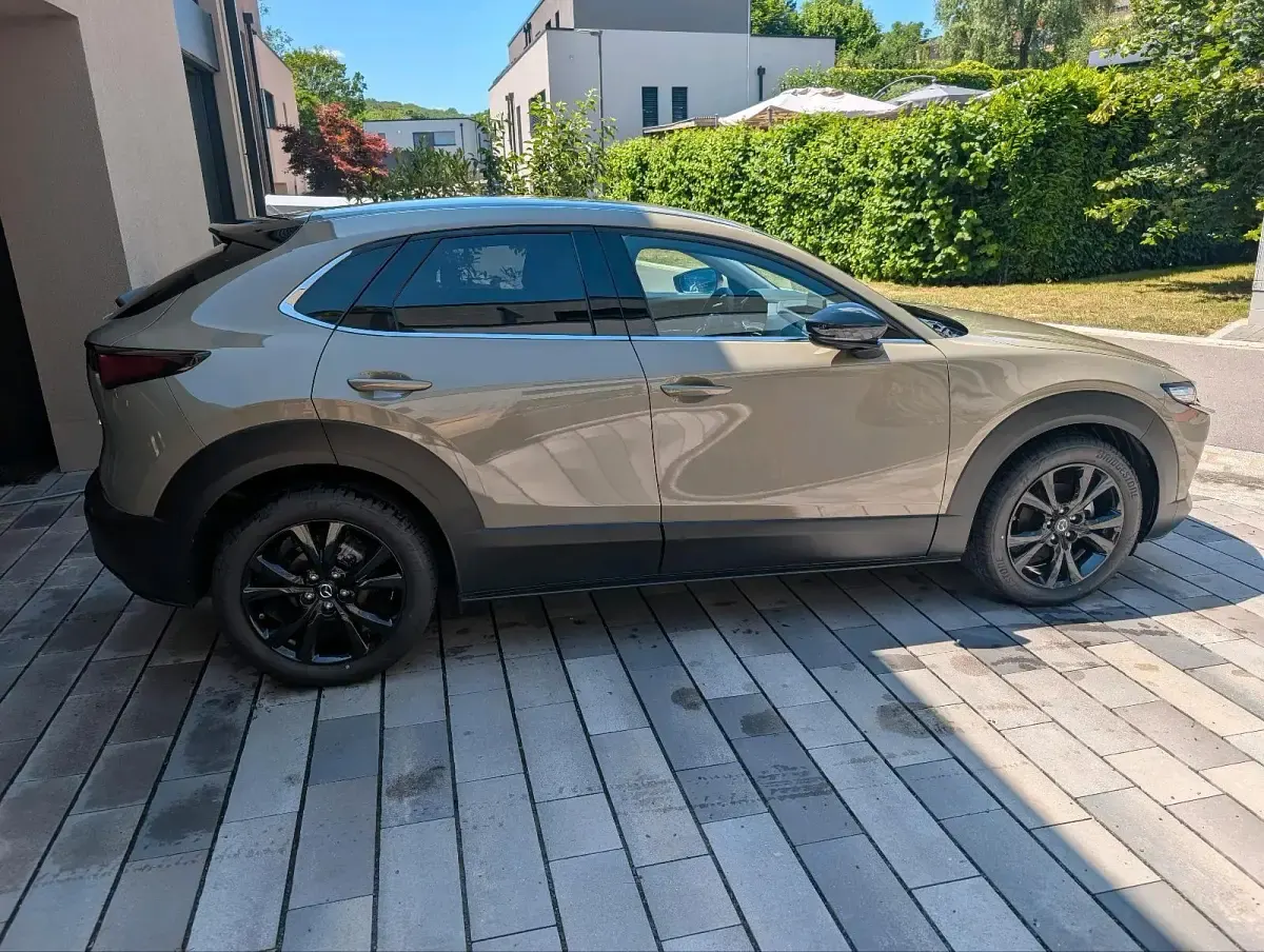 Gebraucht Mazda CX-30 186 PS (136 kW) 2025 Braun SUV