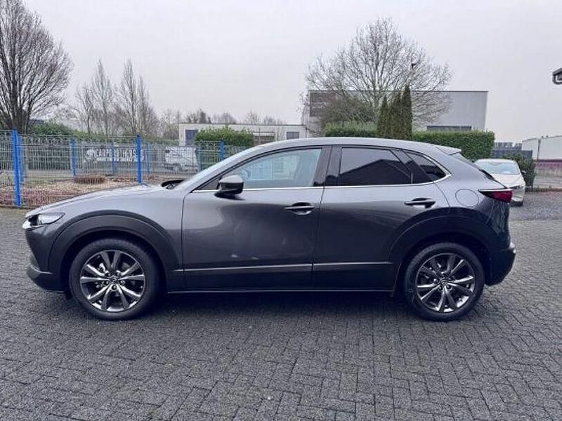 Gebraucht Mazda CX-30 Selection 179 PS (131 kW) 2020 Grau SUV