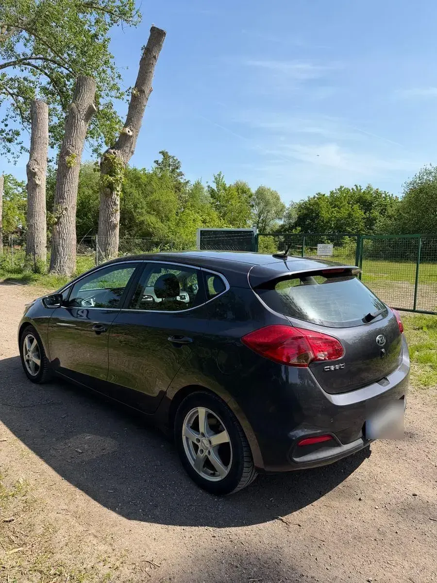 Gebraucht Kia Ceed 99 PS (72 kW) 2013 Grau Kleinwagen