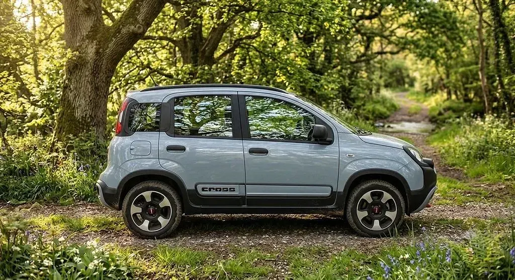 Gebraucht Fiat Panda Cross Cross 69 PS (50 kW) 2019 Grau Kleinwagen