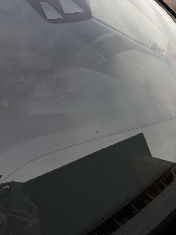 Gebraucht Ford Focus Business Edition 125 PS (91 kW) 2017 Grau Kombi