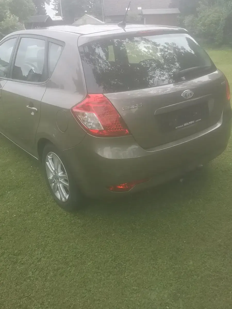 Gebraucht Kia Ceed 90 PS (66 kW) 2010 Braun Kleinwagen