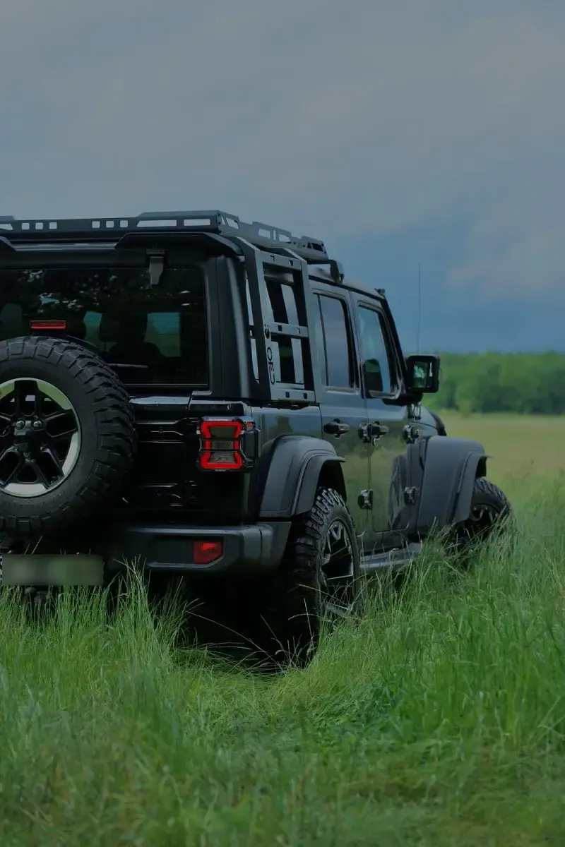 Gebraucht Jeep Wrangler 200 PS (147 kW) 2019 Schwarz SUV