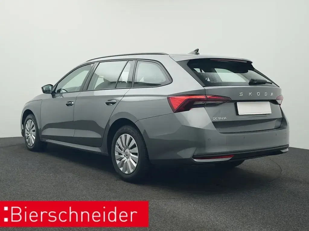 Gebraucht Skoda Octavia Essence 116 PS (85 kW) 2025 Grau Kombi