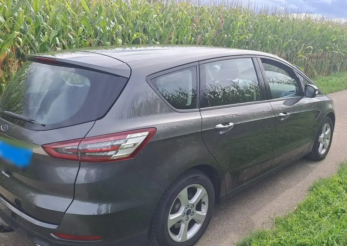 Gebraucht Ford S-MAX Business Edition 190 PS (139 kW) 2016 Grau Van / Kleinbus