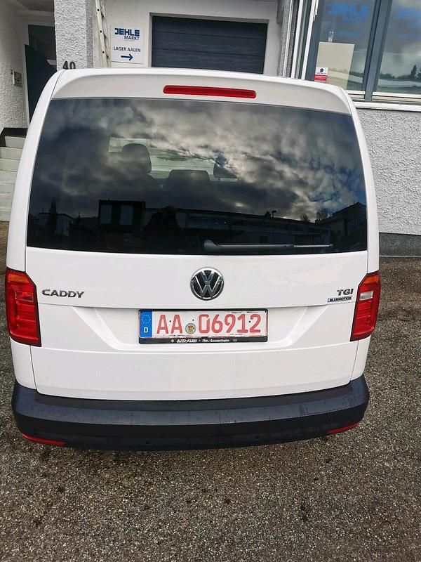 Gebraucht VW Caddy 110 PS (80 kW) 2016 Weiß Van / Kleinbus