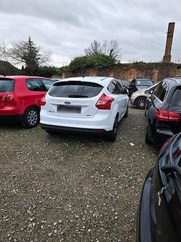Usata Ford Focus 125 CV (91 kW) 2013 Bianco Utilitaria
