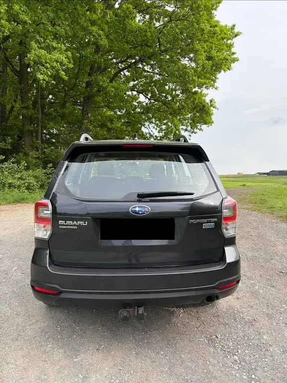 Occasion Subaru Forester Active 147 ch (108 kW) 2016 Gris SUV