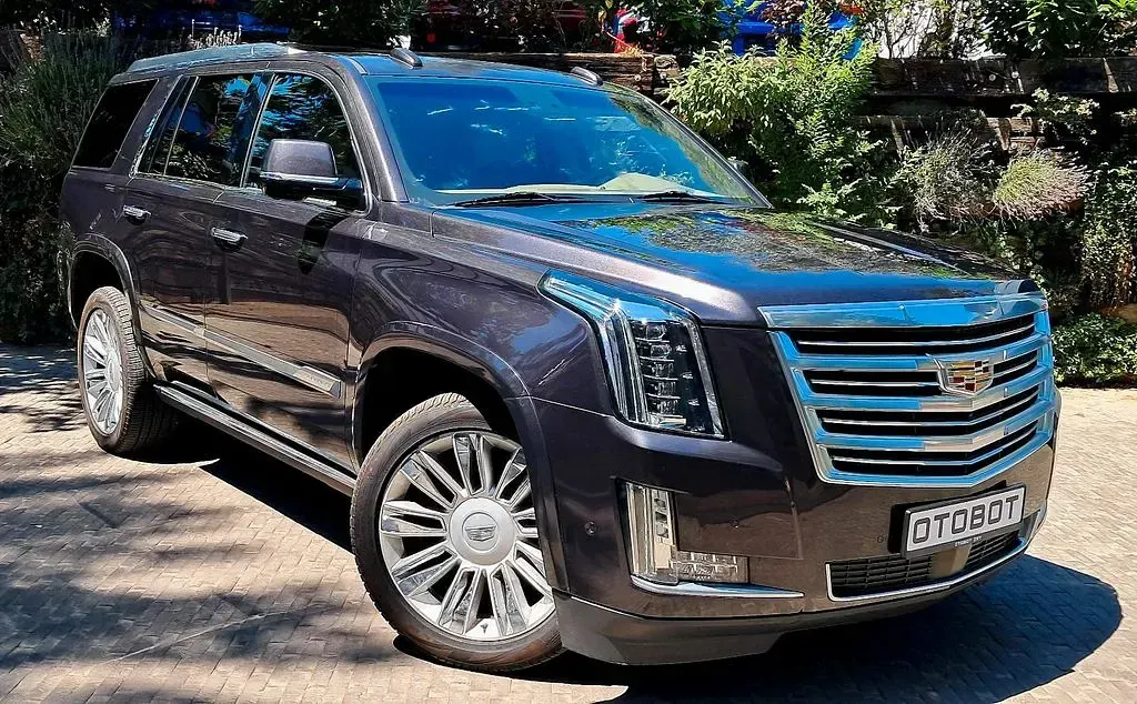 Gebraucht Cadillac Escalade 426 PS (313 kW) 2019 SUV