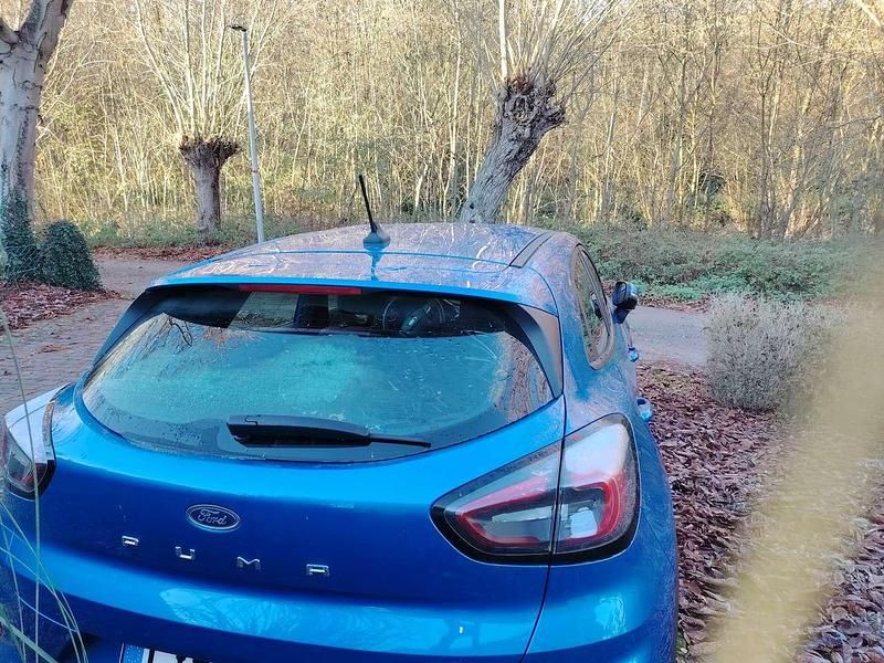 Gebraucht Ford Puma Titanium 125 PS (91 kW) 2020 Blau SUV