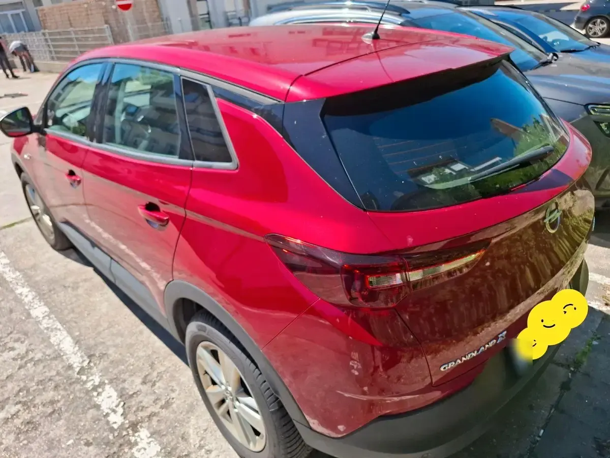 Gebraucht Opel Grandland X Business 131 PS (96 kW) 2020 Rot SUV