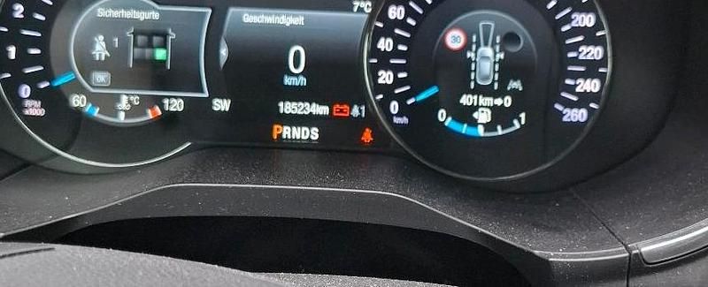 Gebraucht Ford S-MAX Titanium 190 PS (139 kW) 2019 Van / Kleinbus