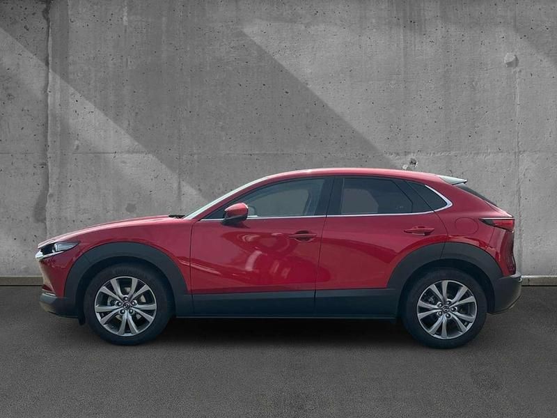 Gebraucht Mazda CX-30 Selection 122 PS (89 kW) 2021 Rot SUV