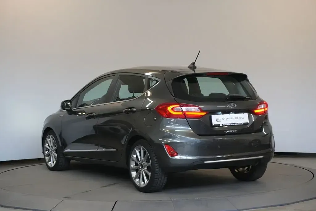 Gebraucht Ford Fiesta Vignale 101 PS (74 kW) 2019 Grau Kleinwagen