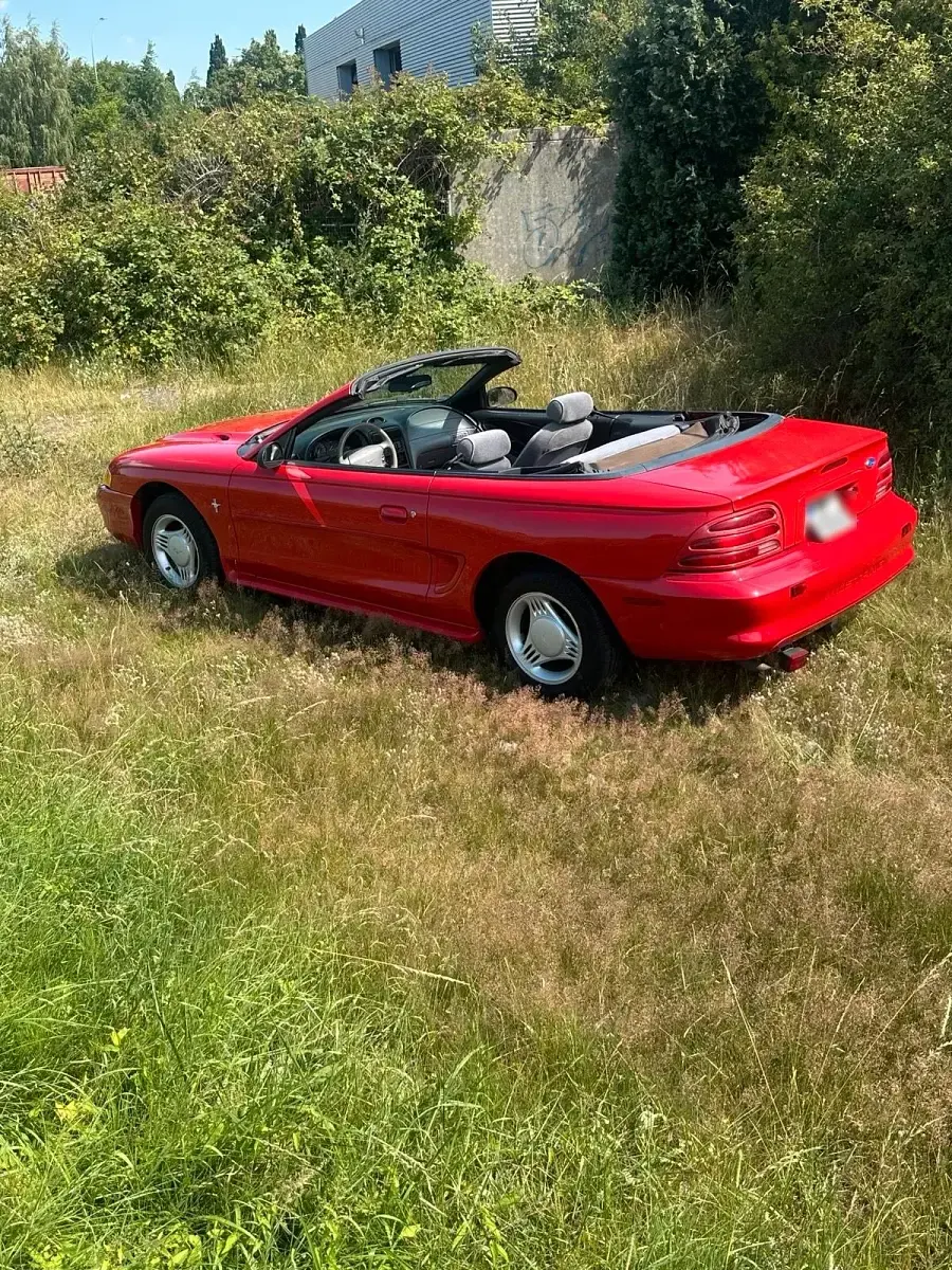 Gebraucht Ford Mustang 144 PS (105 kW) 1996 Rot Cabrio