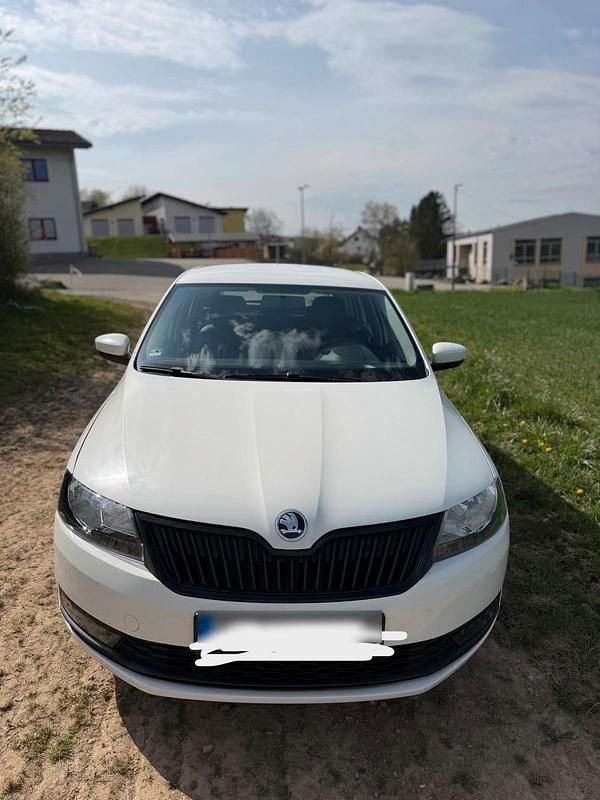 Second-hand Skoda Rapid 95 CP (69 kW) 2019 Alb Hatchback