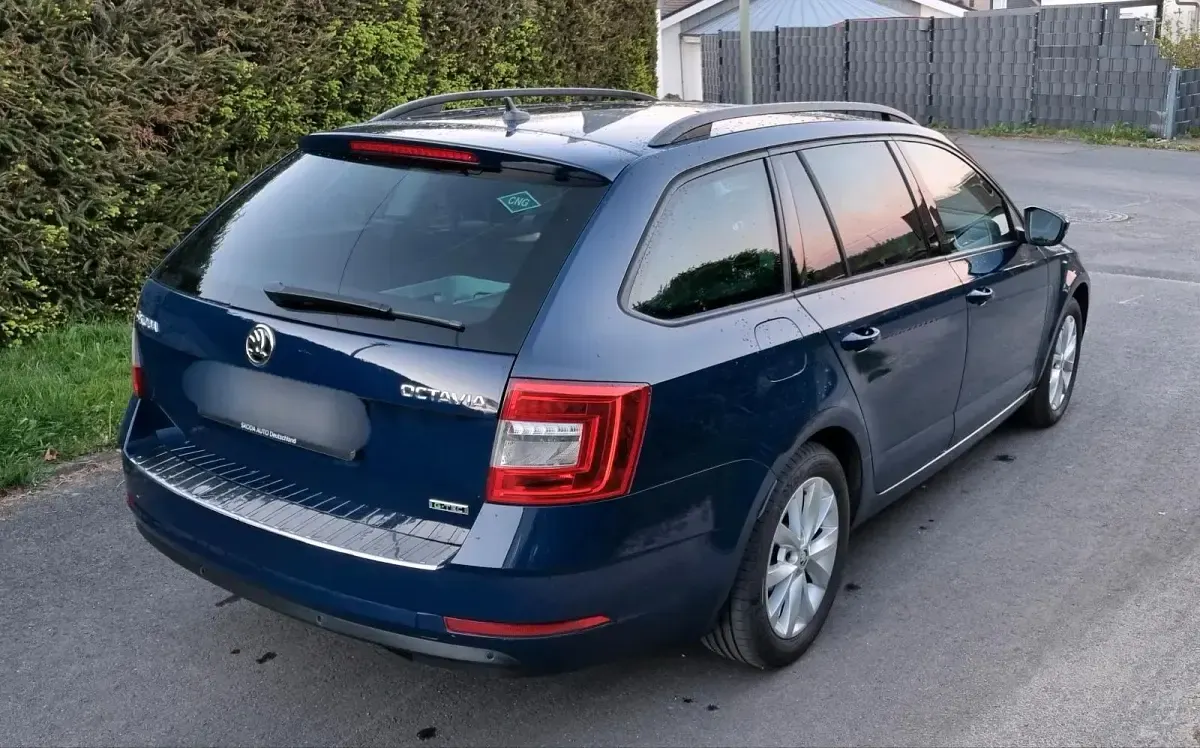 Gebraucht Skoda Octavia 110 PS (80 kW) 2018 Blau Kombi