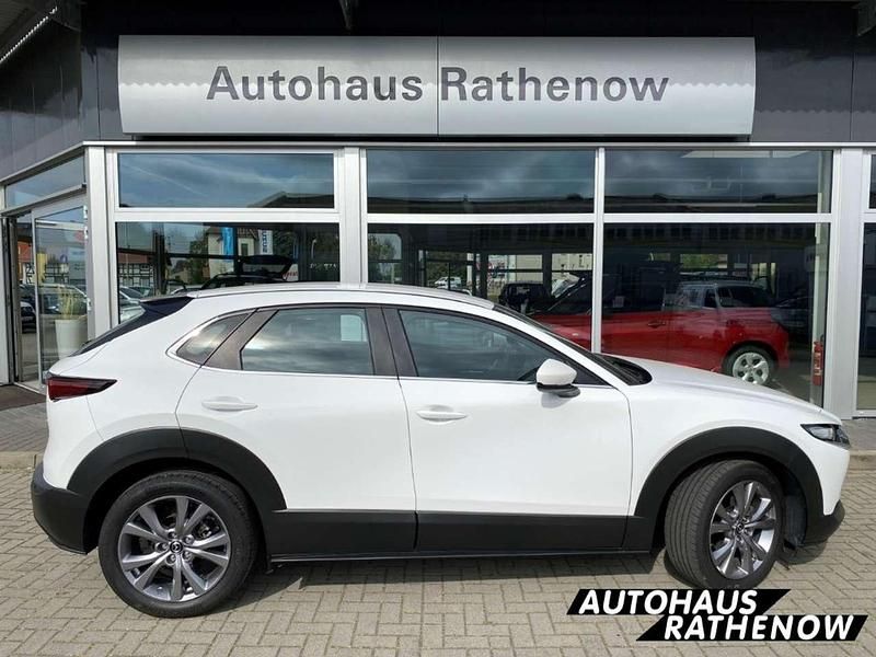 Gebraucht Mazda CX-30 Selection 179 PS (131 kW) 2023 Arctic white SUV