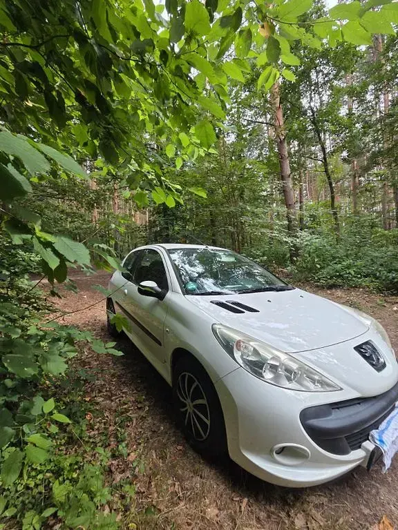 Gebraucht Peugeot 206 73 PS (53 kW) 2012 Weiß Limousine