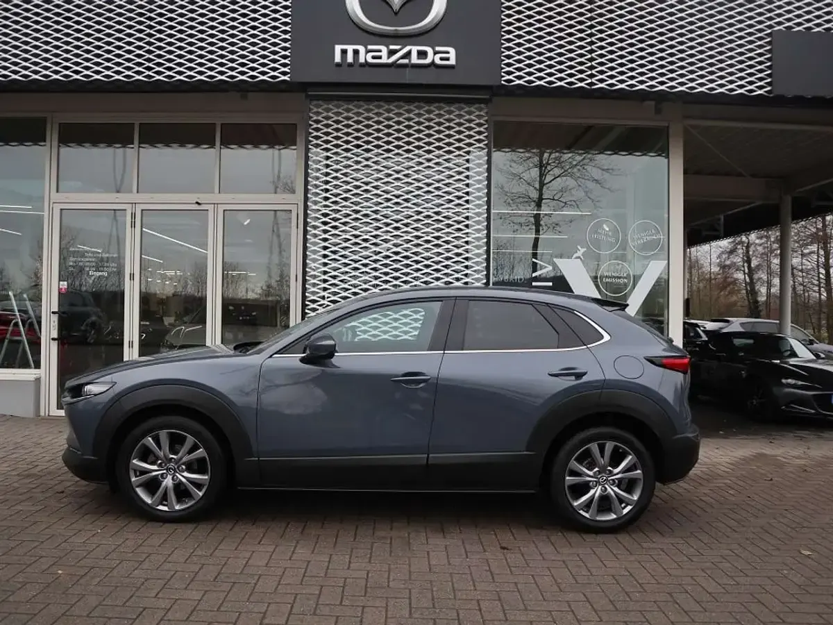 Gebraucht Mazda CX-30 Exclusive-Line 140 PS (102 kW) 2024 Polymetal gray SUV